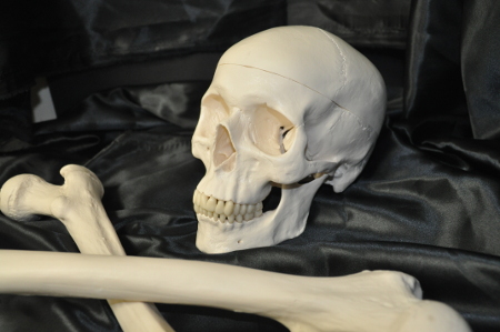 Skull & Crossbones (Emblems of Mortality) - Click Image to Close